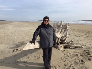 Big, gorgeous hunk o' driftwood at Popham.