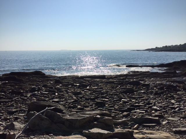 A favorite spot on Peaks Island, a short walk from the cottage where I holed up and wrote for a week.